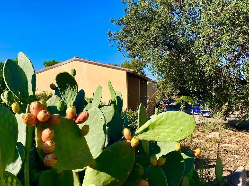 Farm stay Agriturismo Rocce Bianche - Bungalows Arbus