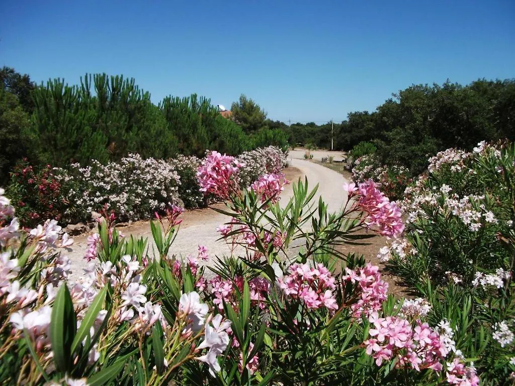 Farm stay Agriturismo Rocce Bianche - Bungalows Arbus